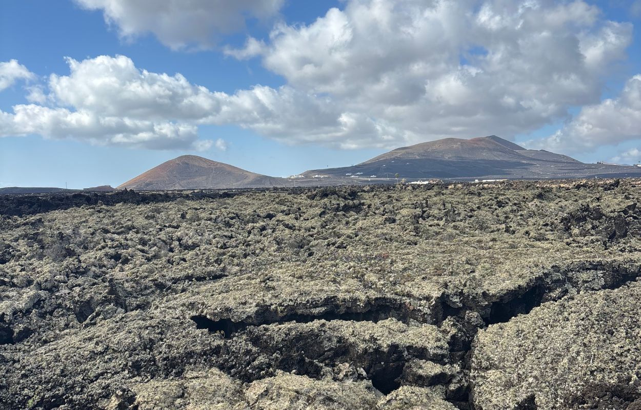 arid climate of Lanzarote lava fields