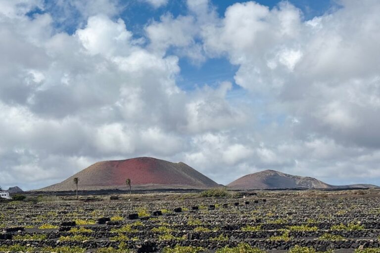 meilleurs moments pour voyage à lanzarote vignobles de lanzarote