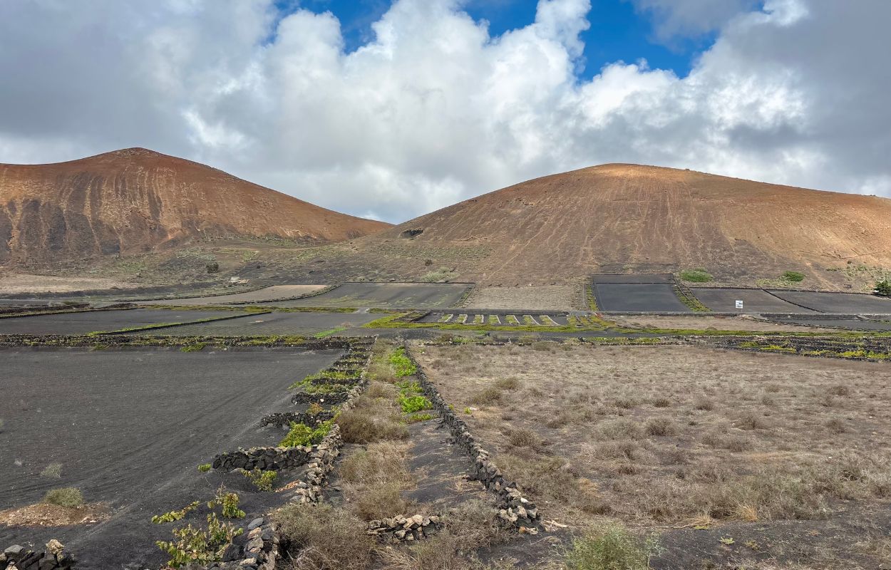 montagnes à la geria lanzarote vignes de lanzarote