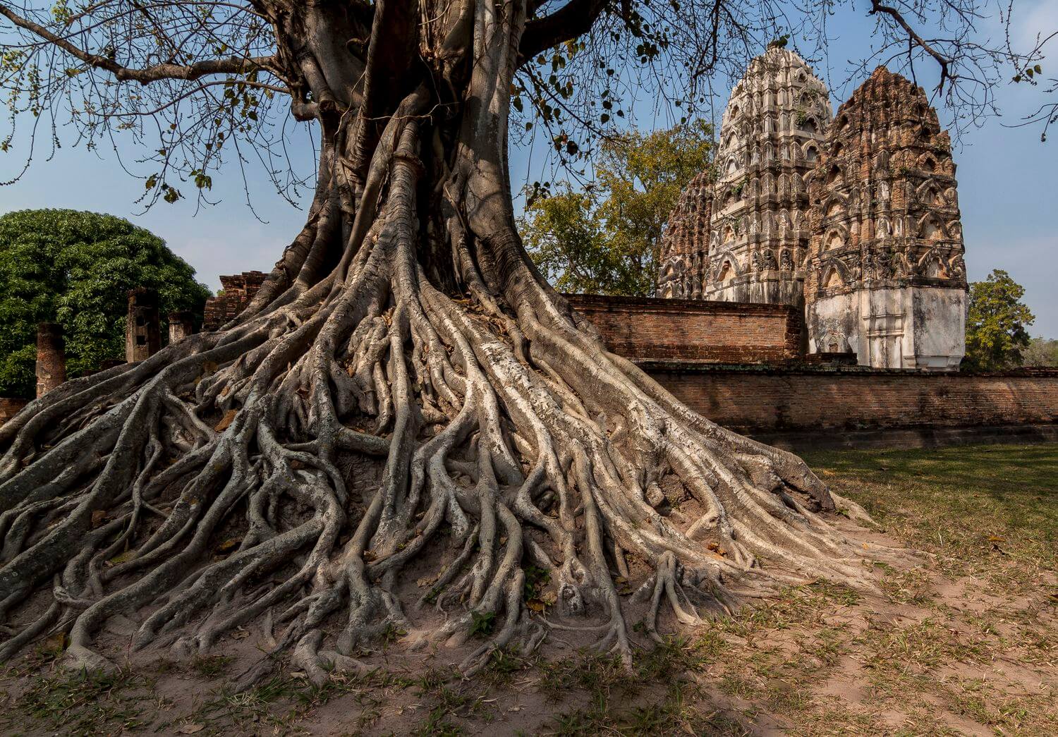 Tempel von Sukhothai Tempel von Sukhothai, Thailand