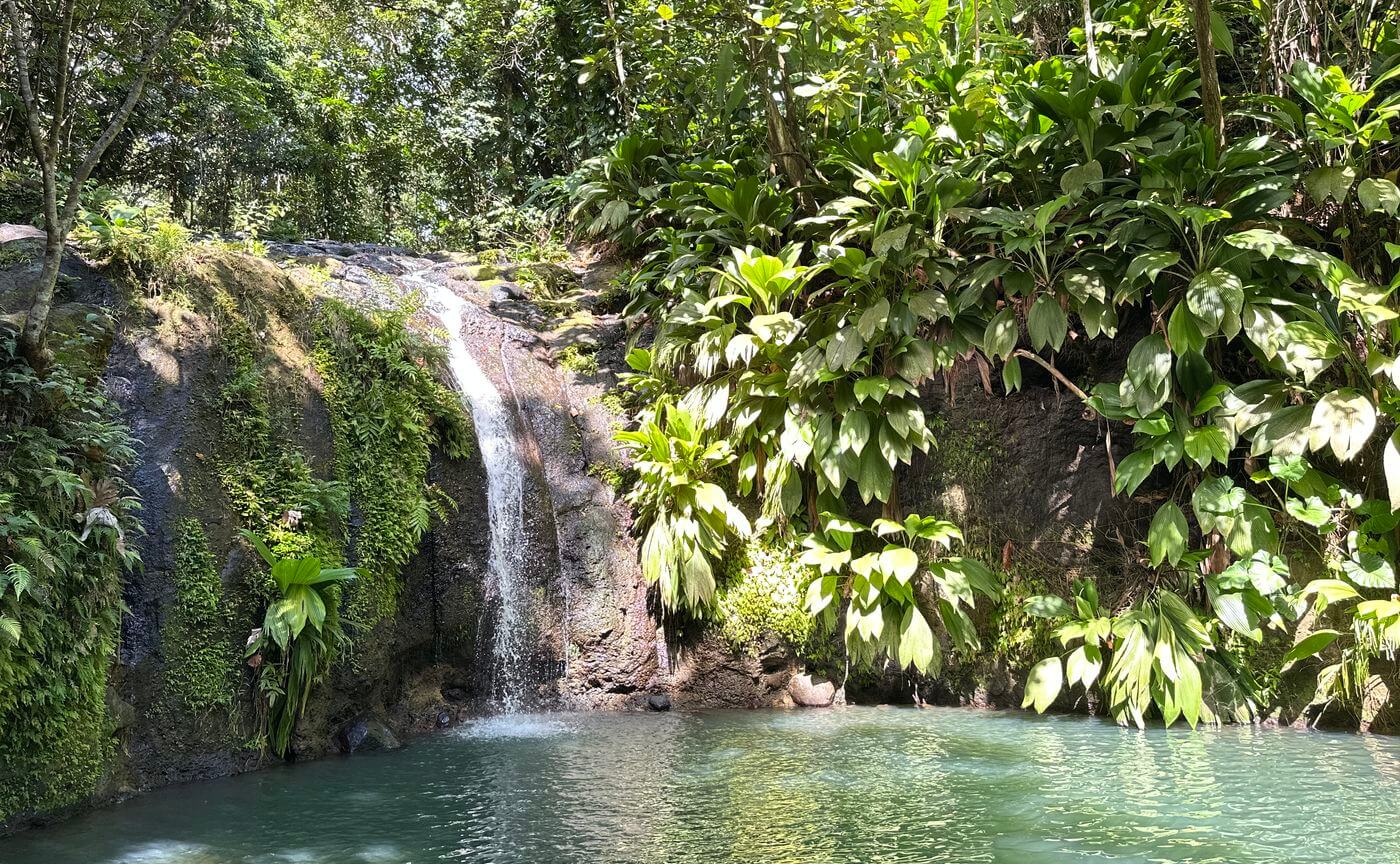 Bis Cascade Pool waterfall bis