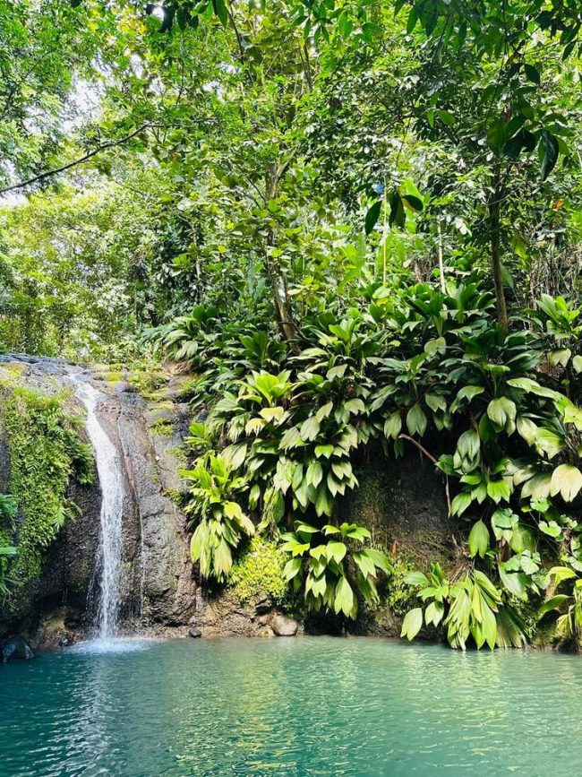 Cascade de Bis waterfall hike, Guadeloupe Cascade de Bis waterfall, Guadeloupe