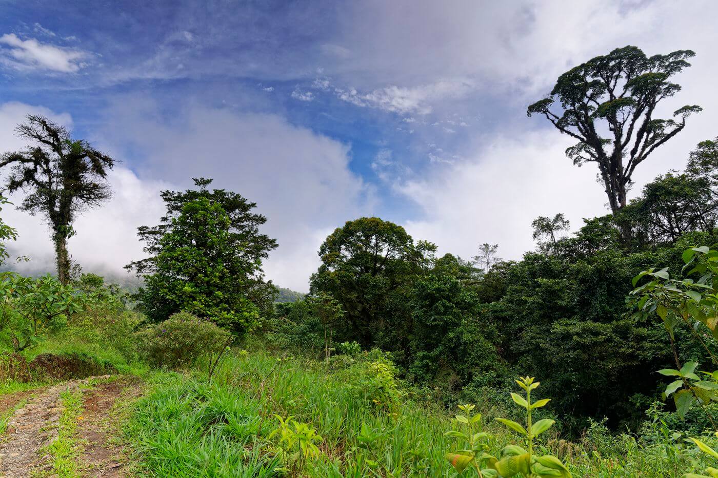 Paisaje rural en Costa Rica Caminata en Costa Rica