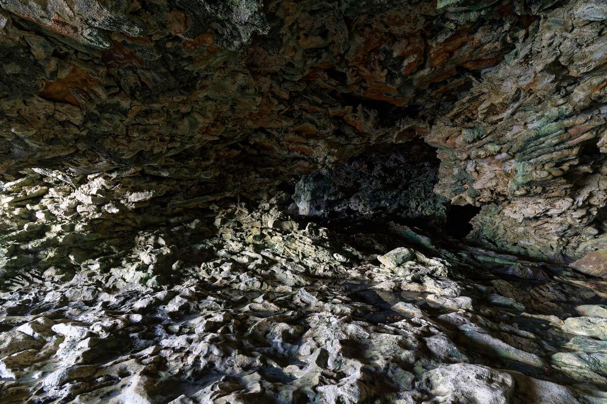 Anémona de cueva en la isla de Barbados Anémona de cueva en la isla de Barbados