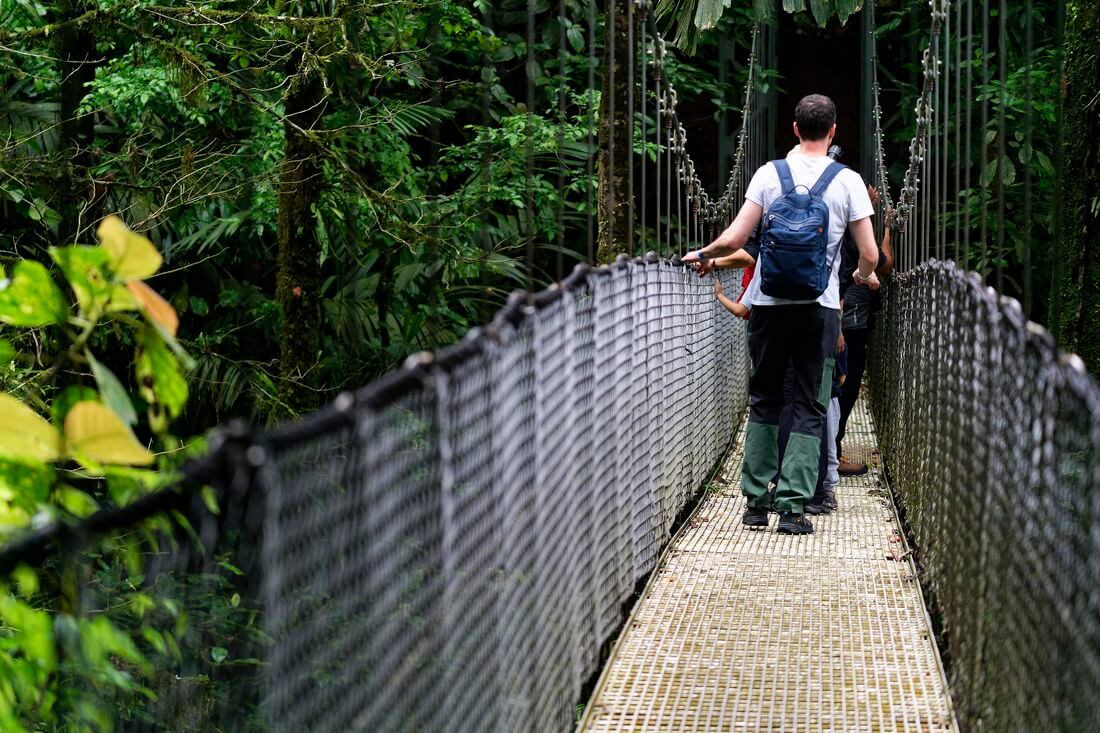 Diferentes puentes en Mistico Bridges Diferentes puentes en Mistico Bridges