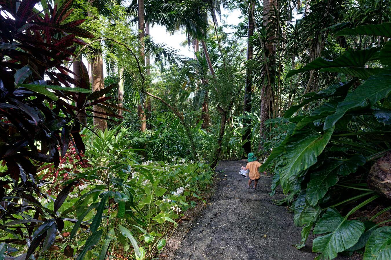 Entrada al jardín Flower Forest Jardín Flower Forest en Barbados