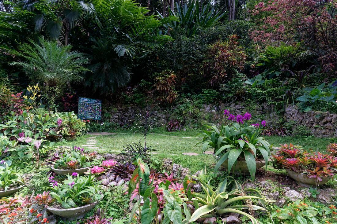 Zona de Huntes Garden visita los jardines de Barbados