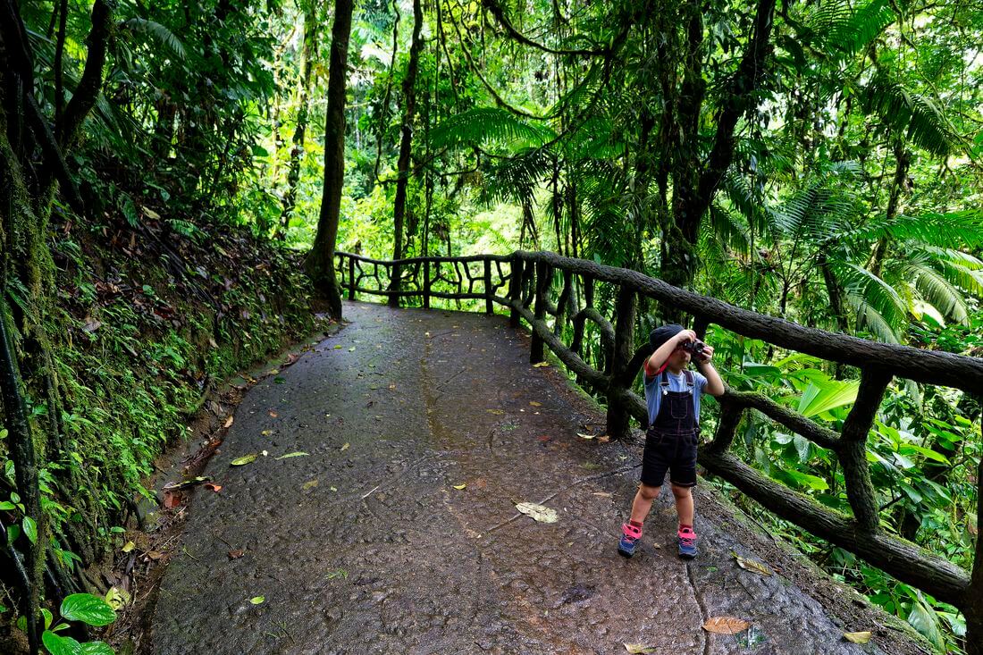 Parque Místico Arenal Puentes colgantes en el Parque Nacional Volcán Arenal