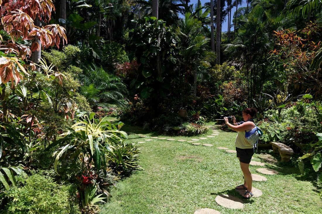 foto del Jardín de Hunte Visita el Jardín de Hunte