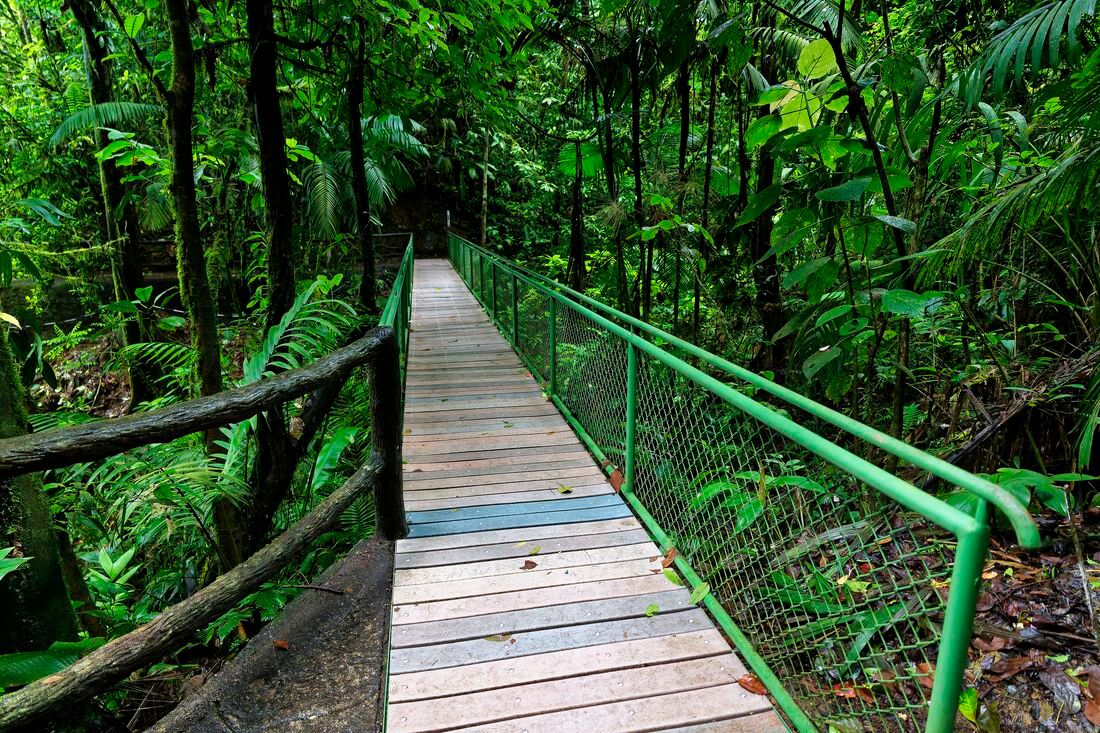 Puentes colgantes de Místico en Costa Rica Puentes colgantes de Místico en Costa Rica
