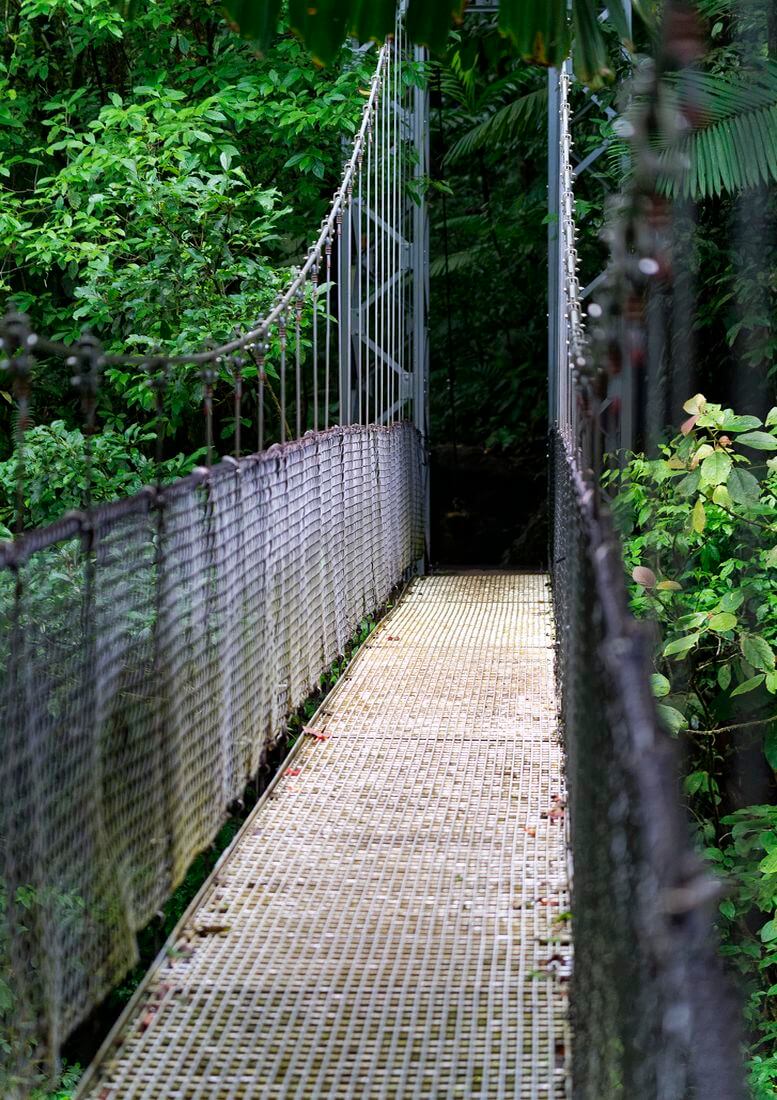 Puente colgante Parque Arenal Hanging Bridges en Costa Rica