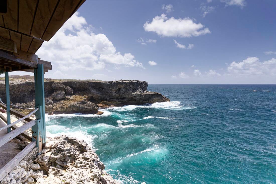 Restaurante Animal Cave en Barbados Restaurante Animal Cave en Barbados