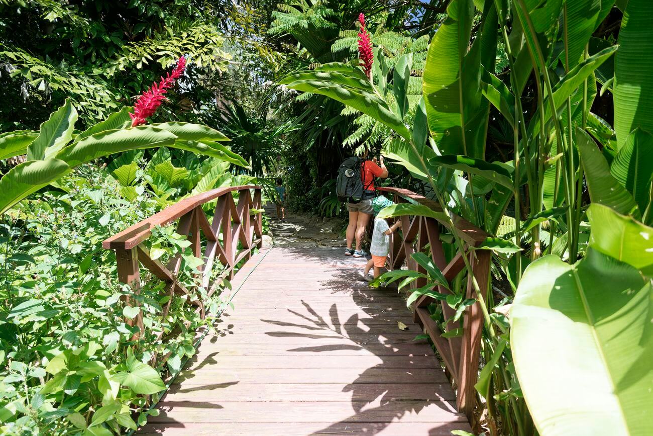 Jardín Andrómeda en Barbados