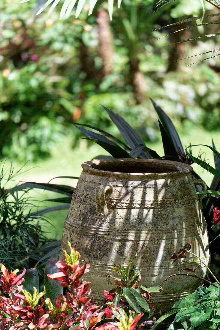 Decoración del jardín de Hunte Belleza del jardín de Hunte