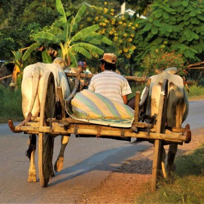Presupuesto de transporte en Camboya presupuesto para transporte en Camboya