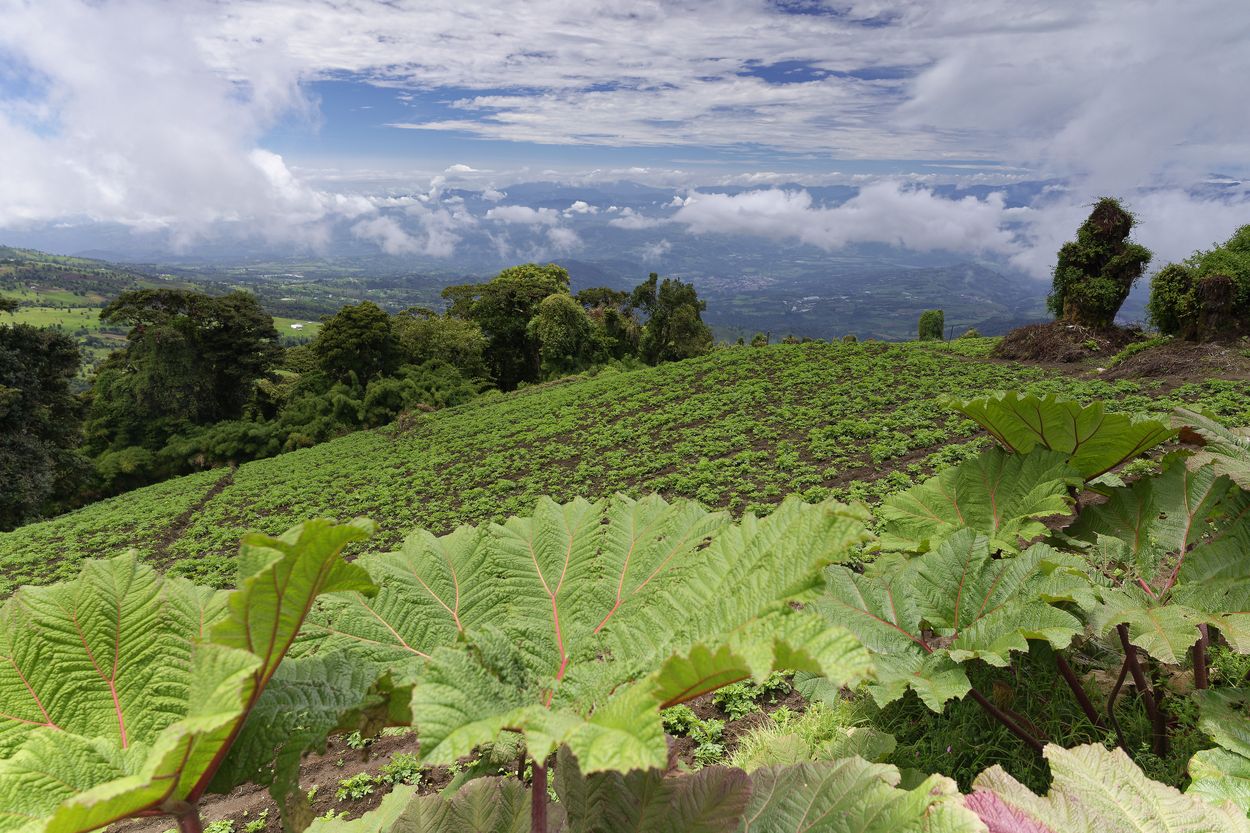 La Fortuna: qué hotel elegir Dónde dormir en La Fortuna, Costa Rica
