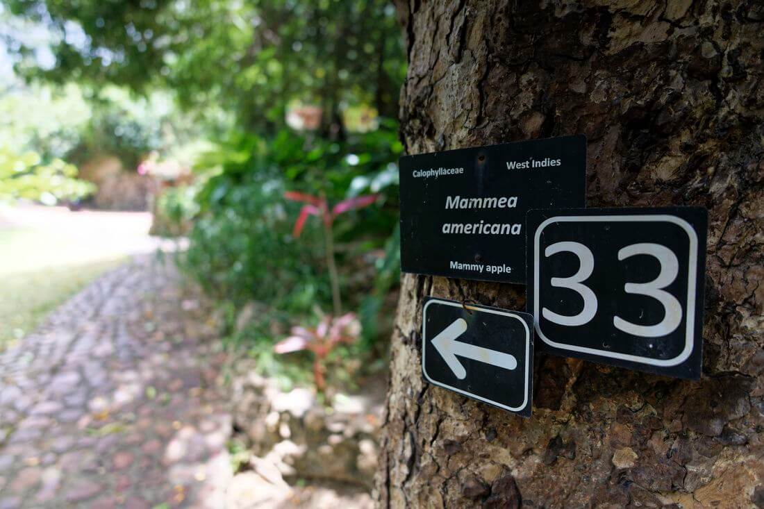 Poste indicador en el jardín Andromeda poste indicador en el jardín Andromeda