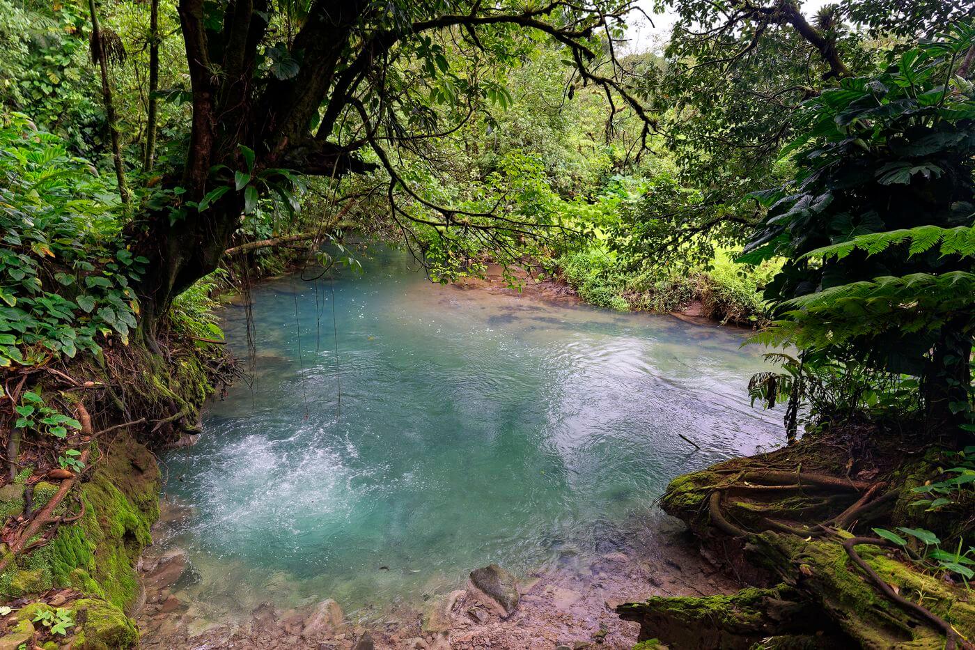 pequeño lago del Parque Nacional Tenorio Parque Nacional del Volcán Tenorio en Costa Rica