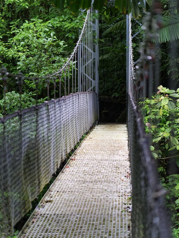 Puente colgante - puentes colgantes