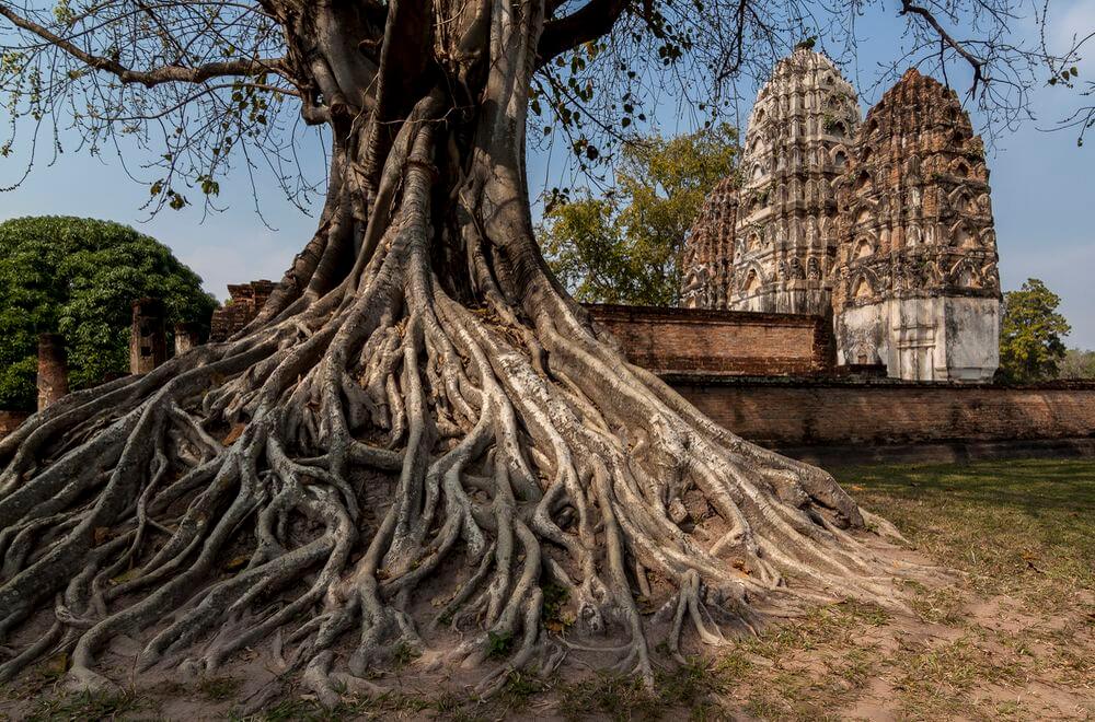 cuándo viajar al norte de Tailandia cuándo descubrir Tailandia