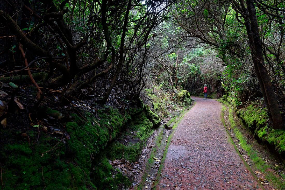 Senderismo en el volcán Poás sendero del volcán Poás