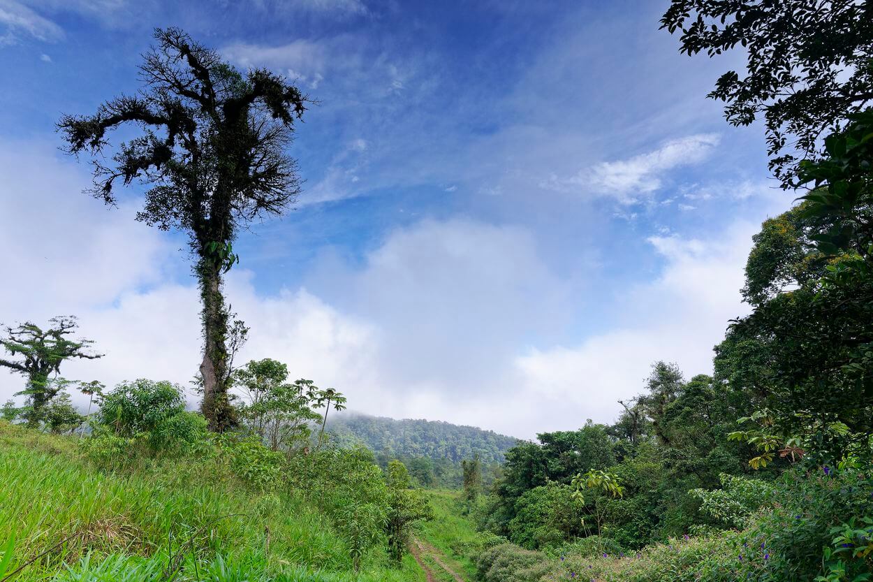 región de Bajos del Toro en Costa Rica paisajes de Bajos del Toro
