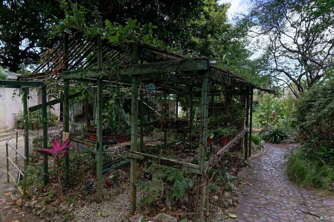 Invernadero en el Jardín Andrómeda invernadero en el Jardín Andrómeda