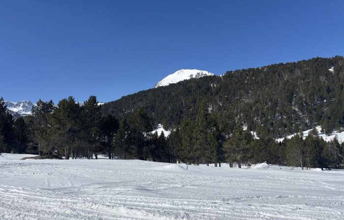 Winter in Andorra Kiefernwälder