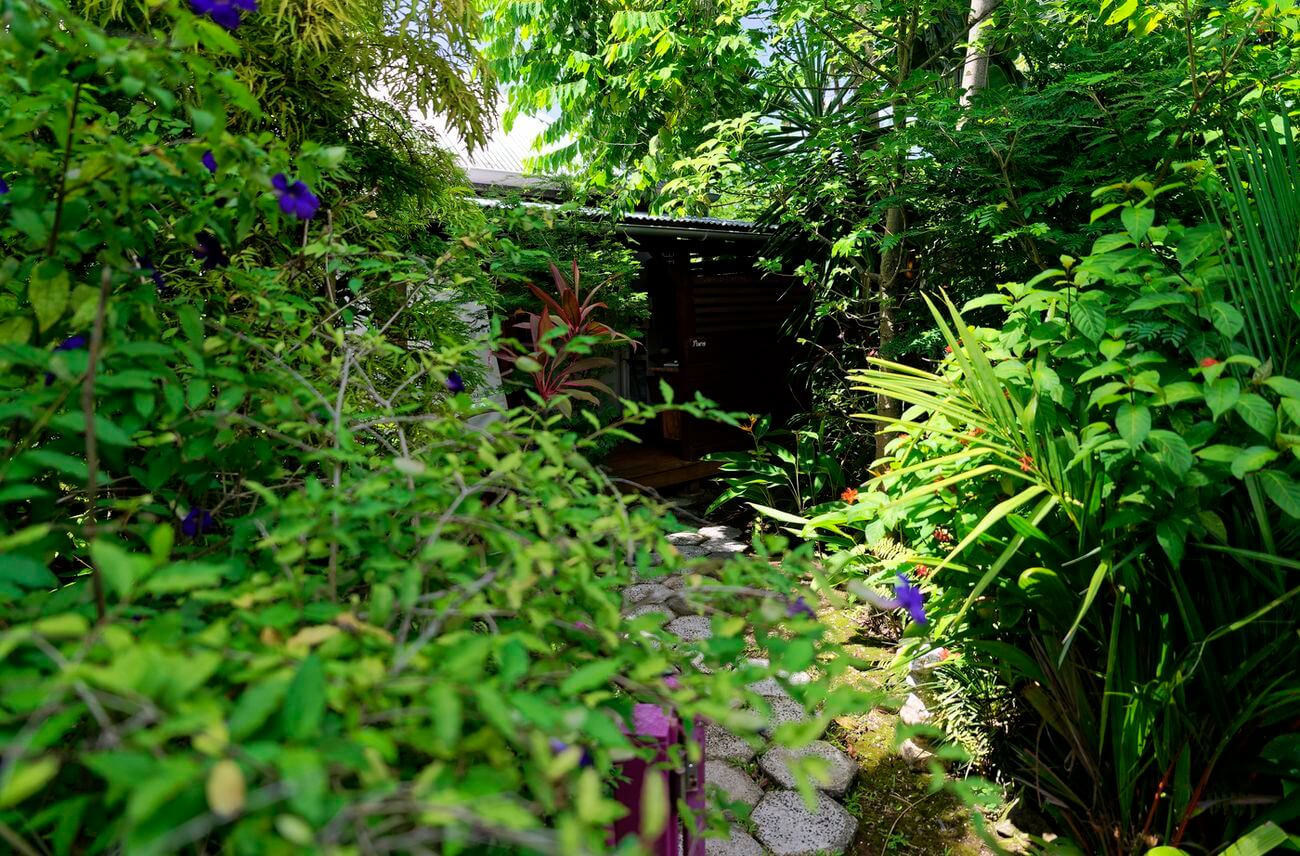 Bungalow im Parc des Orchidées in Guadeloupe Unterkunft im Parc des Orchidées