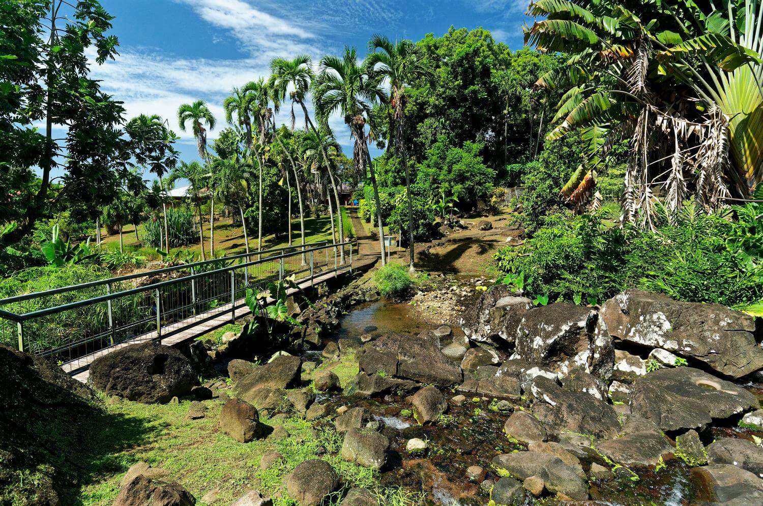 Tropischer Garten Tropischer Garten in Guadeloupe