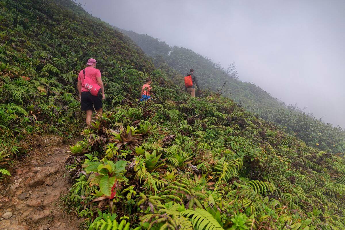 Start der Wanderung Wanderung in Guadeloupe