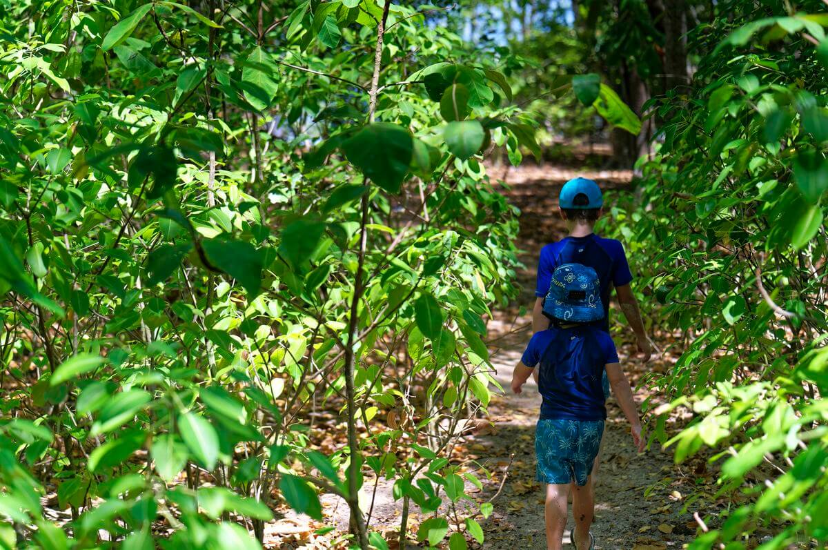 Erkundung des Inselchens Gosier Wald auf dem Inselchen Gosier