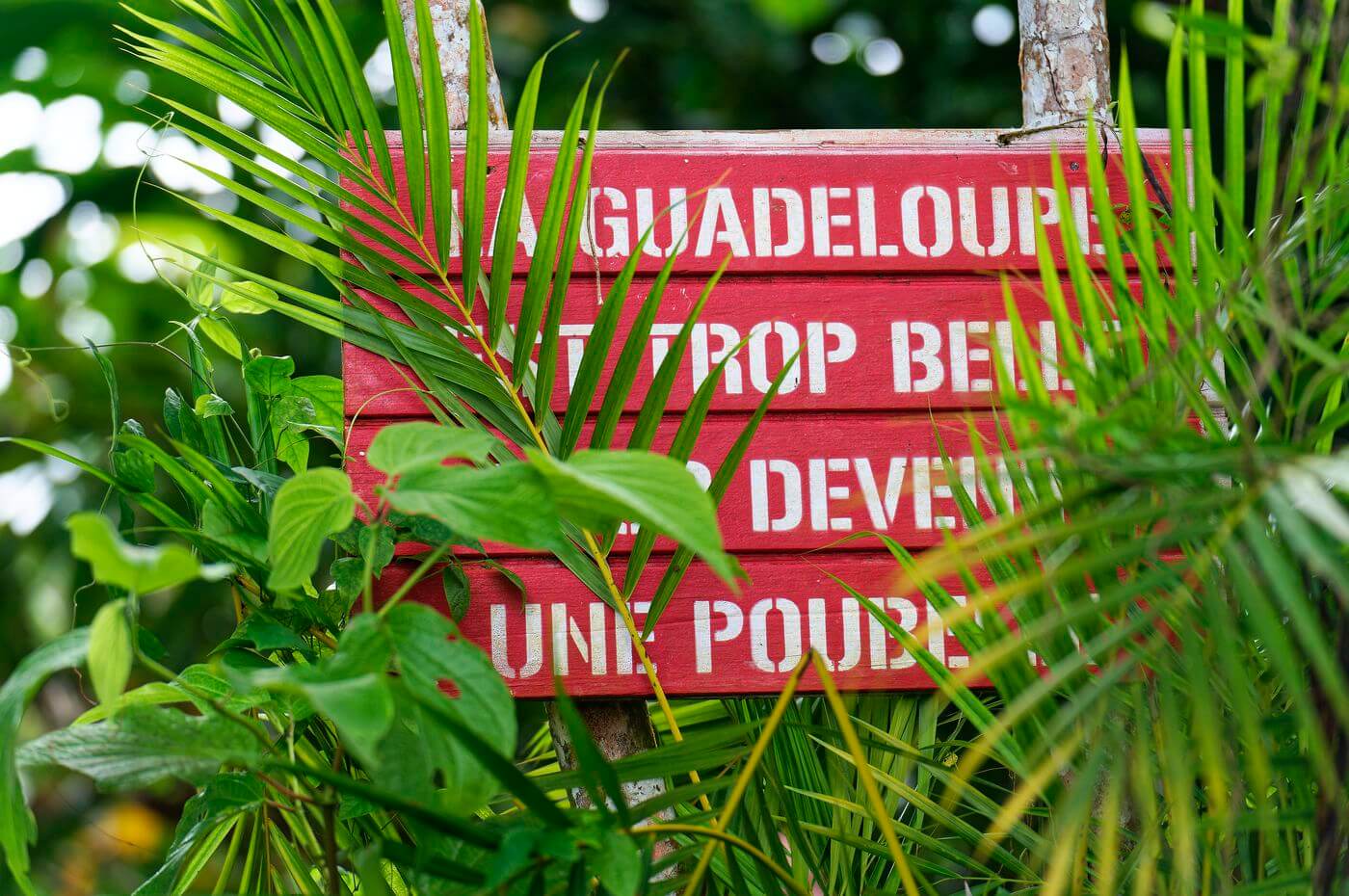 Guadeloupe ist wunderschön Wegweiser am Eingang zum Saut de la Lézarde