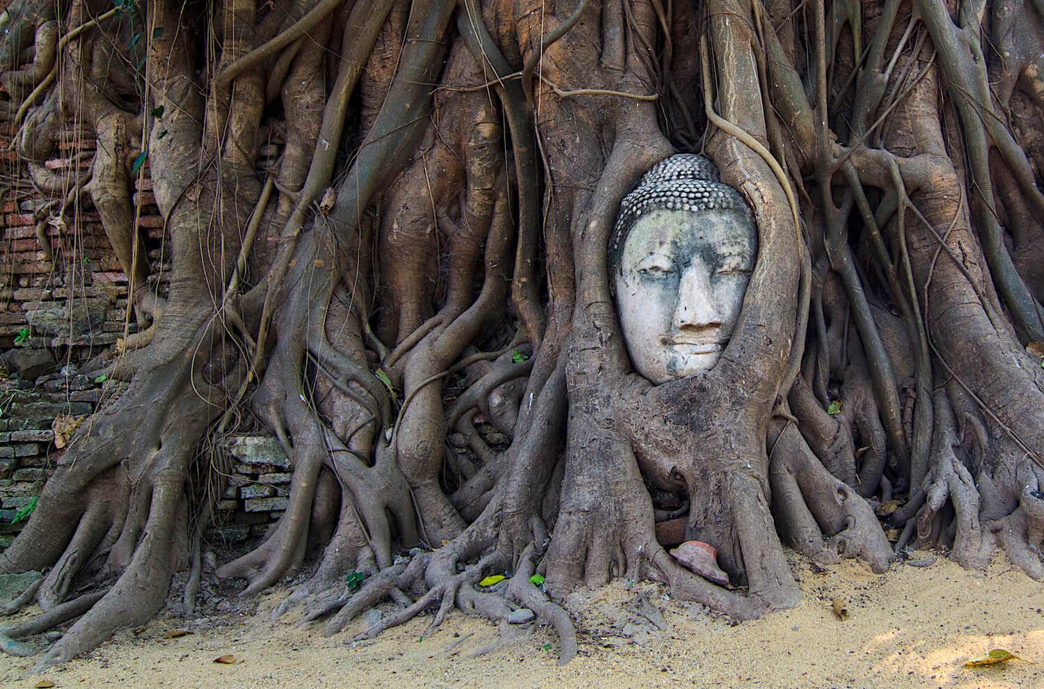 Tempel in Ayutthaya im Norden Thailands Wohin man in den Urlaub fahren kann