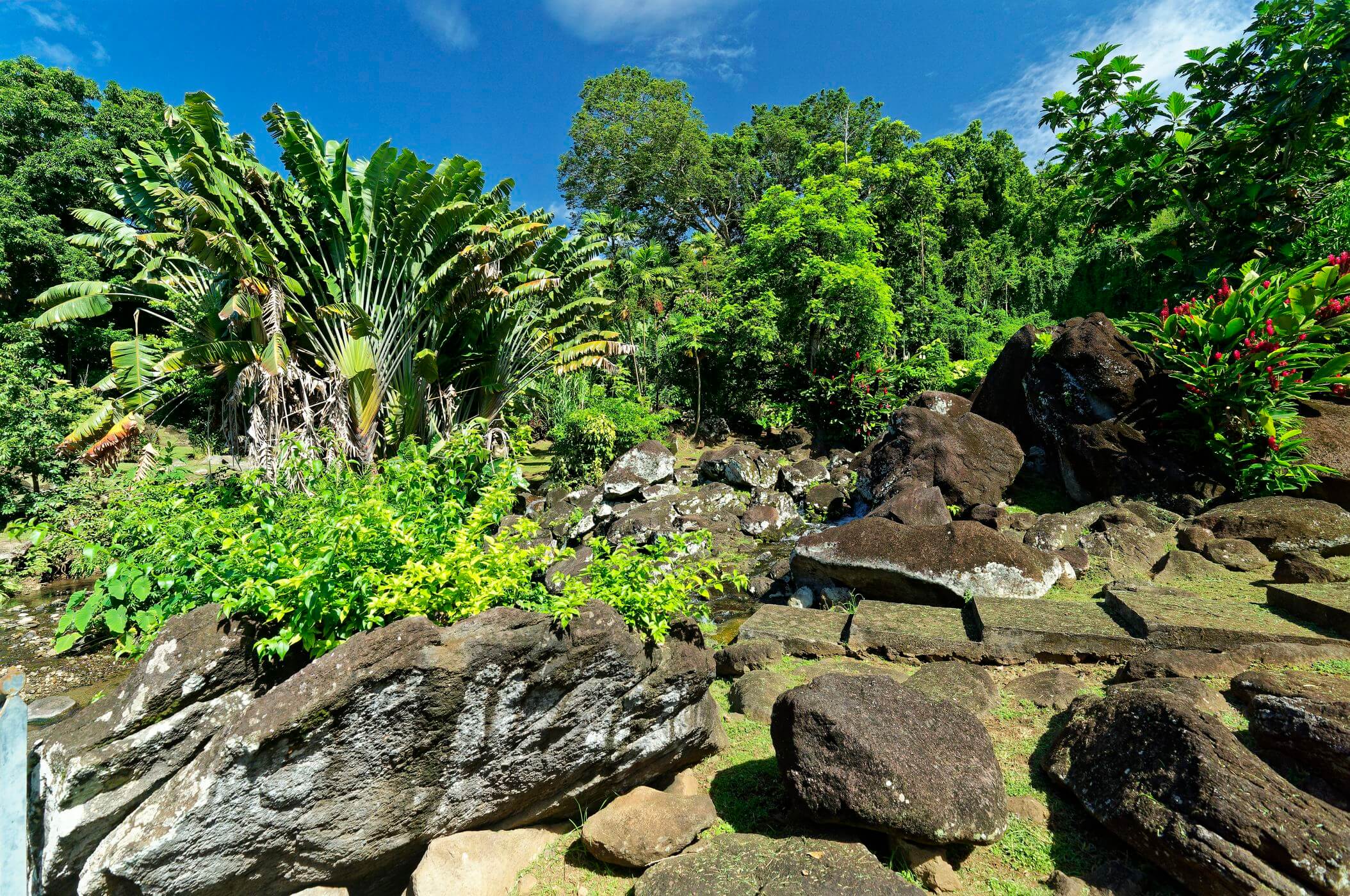 historischer Park Historischer Park in Guadeloupe