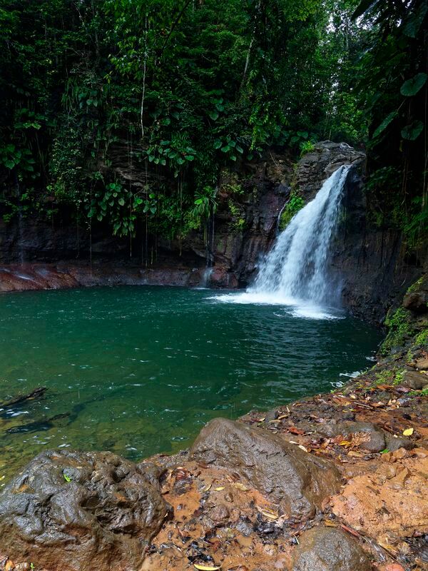 Schwierige Wanderung in Guadeloupe am Saut de la Lézarde
