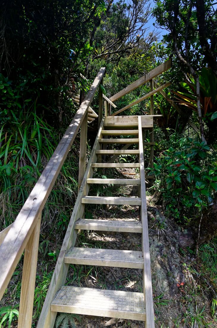 Wachturm in Guadeloupe Treppe zum Aussichtspunkt Mamelles Pigeon