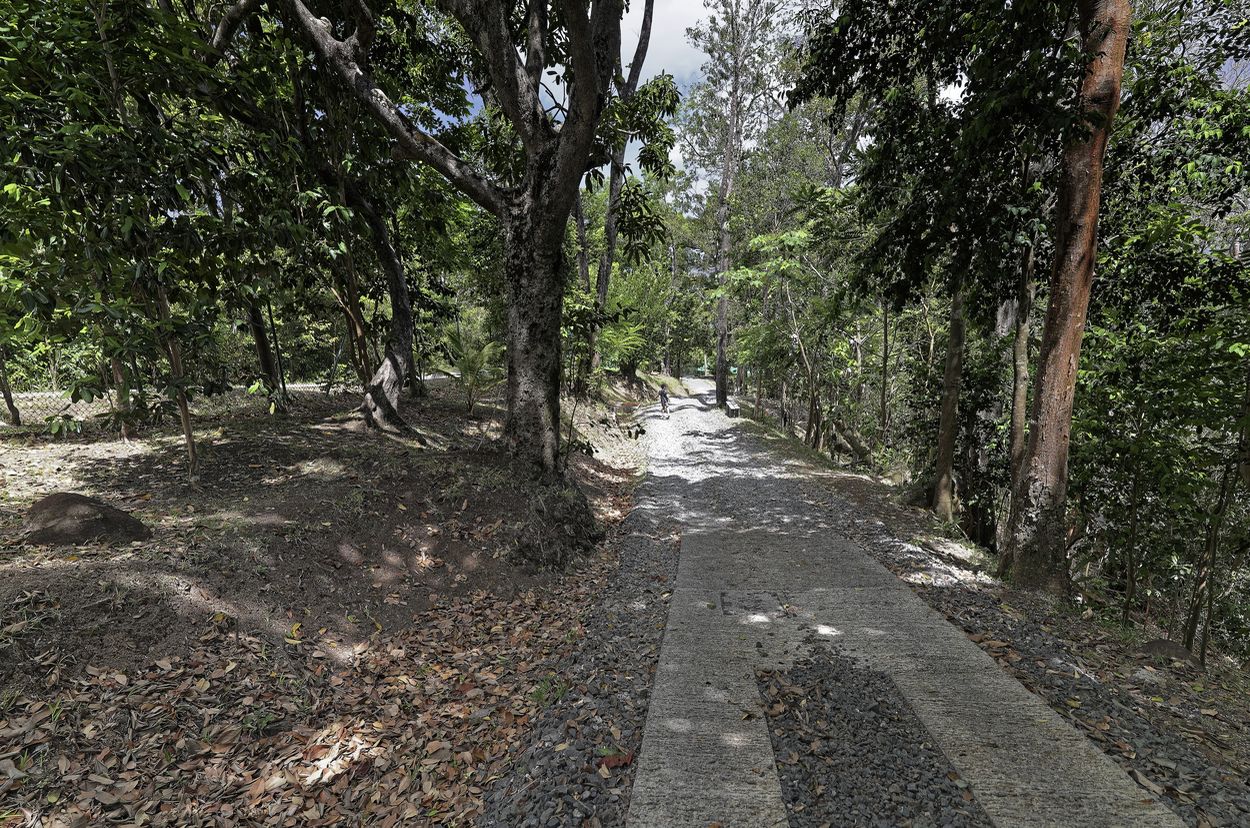 Ausbau Parc de la Source Straße im Park