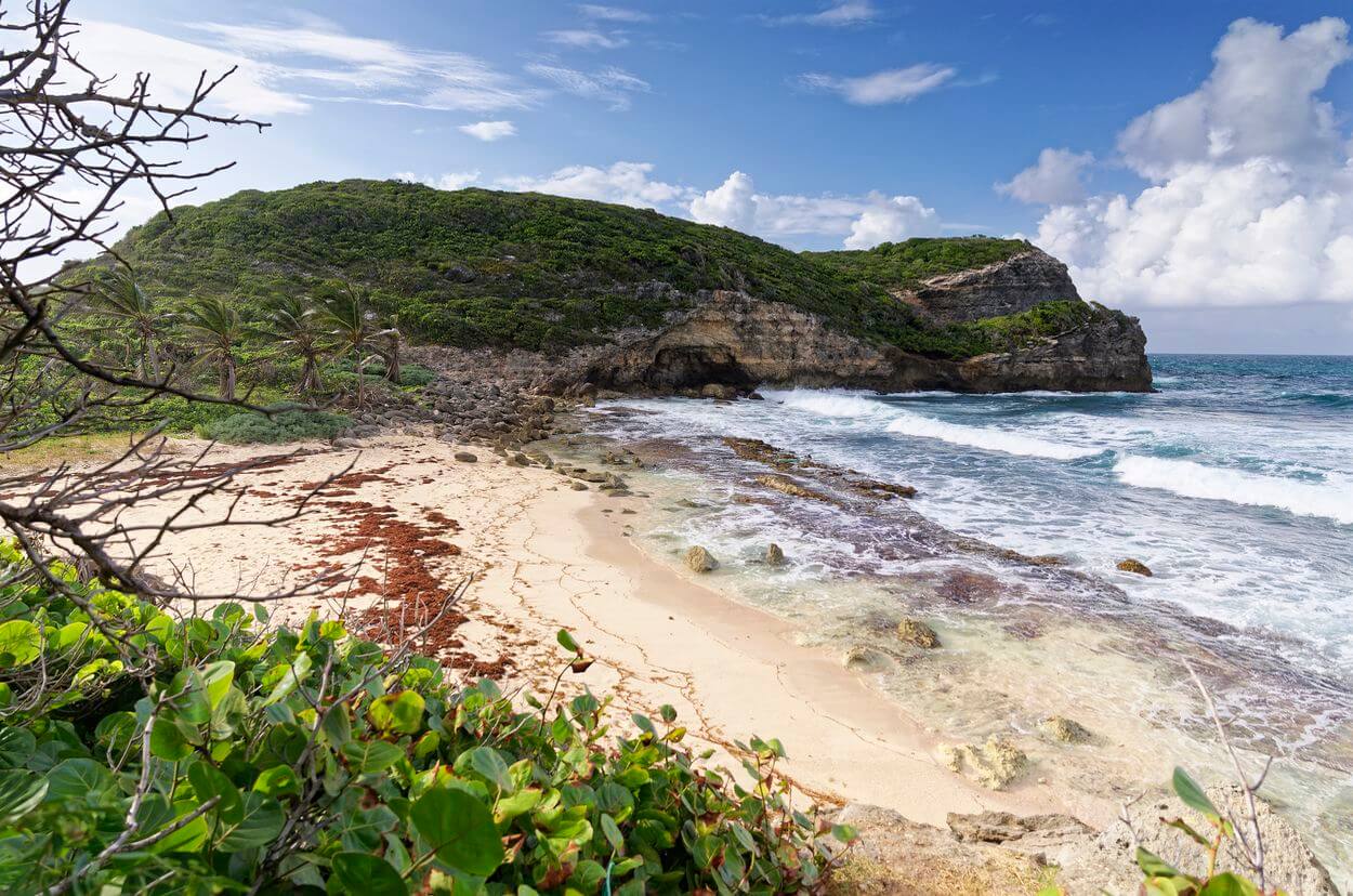Anse in Coq Strand, Marie-Galante Anse in Coq Strand, Marie-Galante