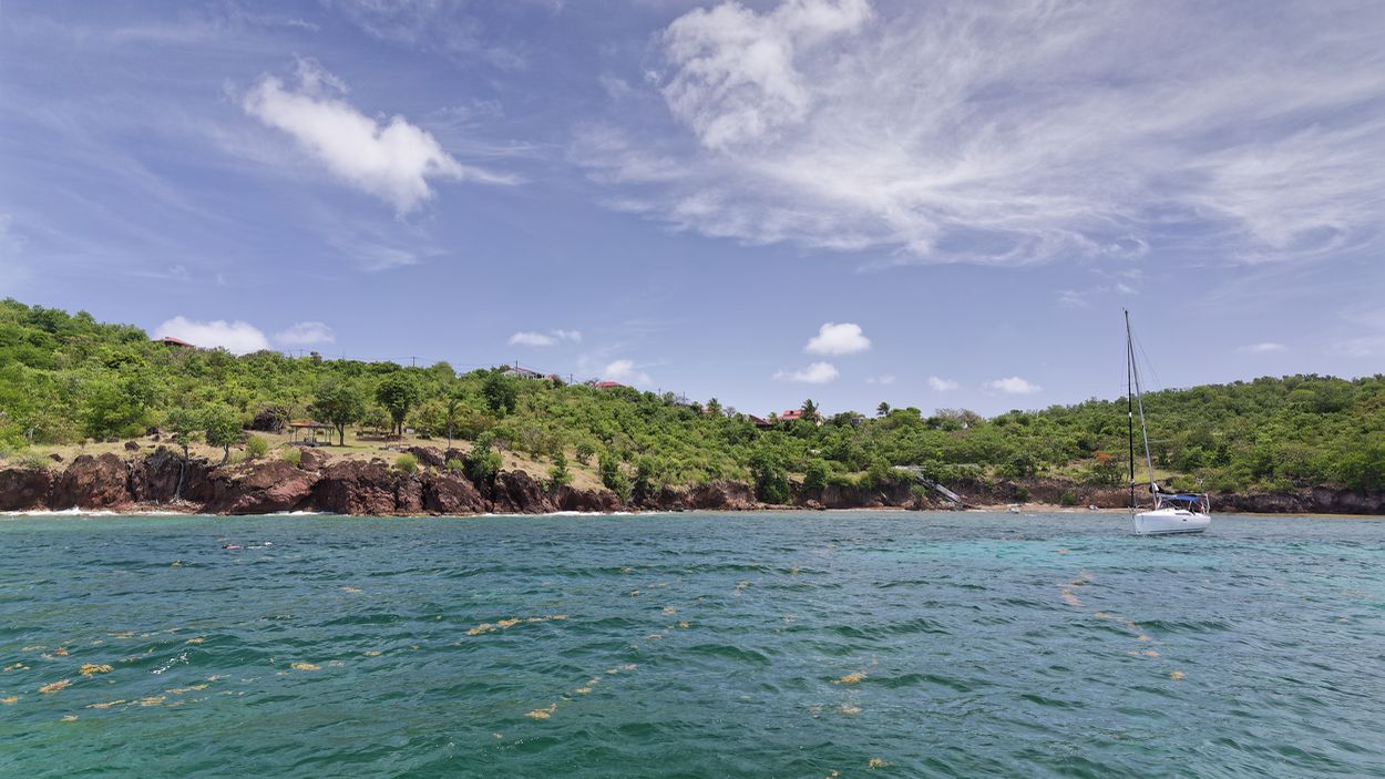 Baie des Tortues Segeln Insel Terre-de-Bas Segeltörn Terre-de-Bas