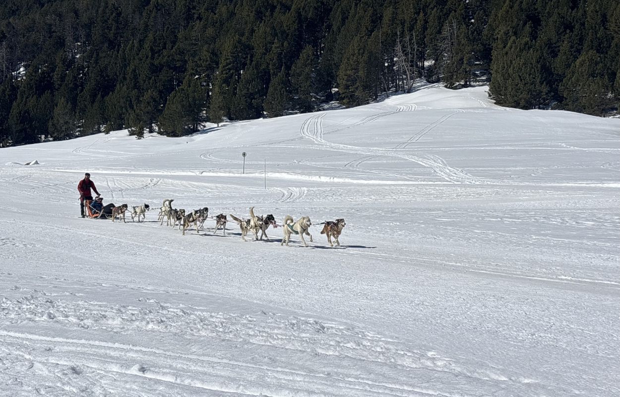 Schlittenhundefahrt in Andorra Tester den Schlittenhund in Andorra