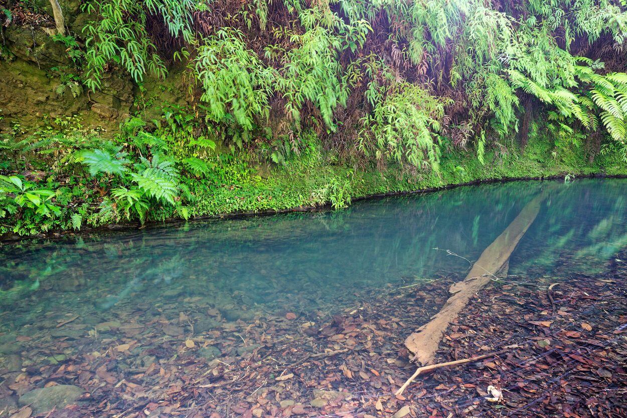 Schwimmbecken Saut du Bras du Fort Toller Ort zum Schwimmen während der Wanderung