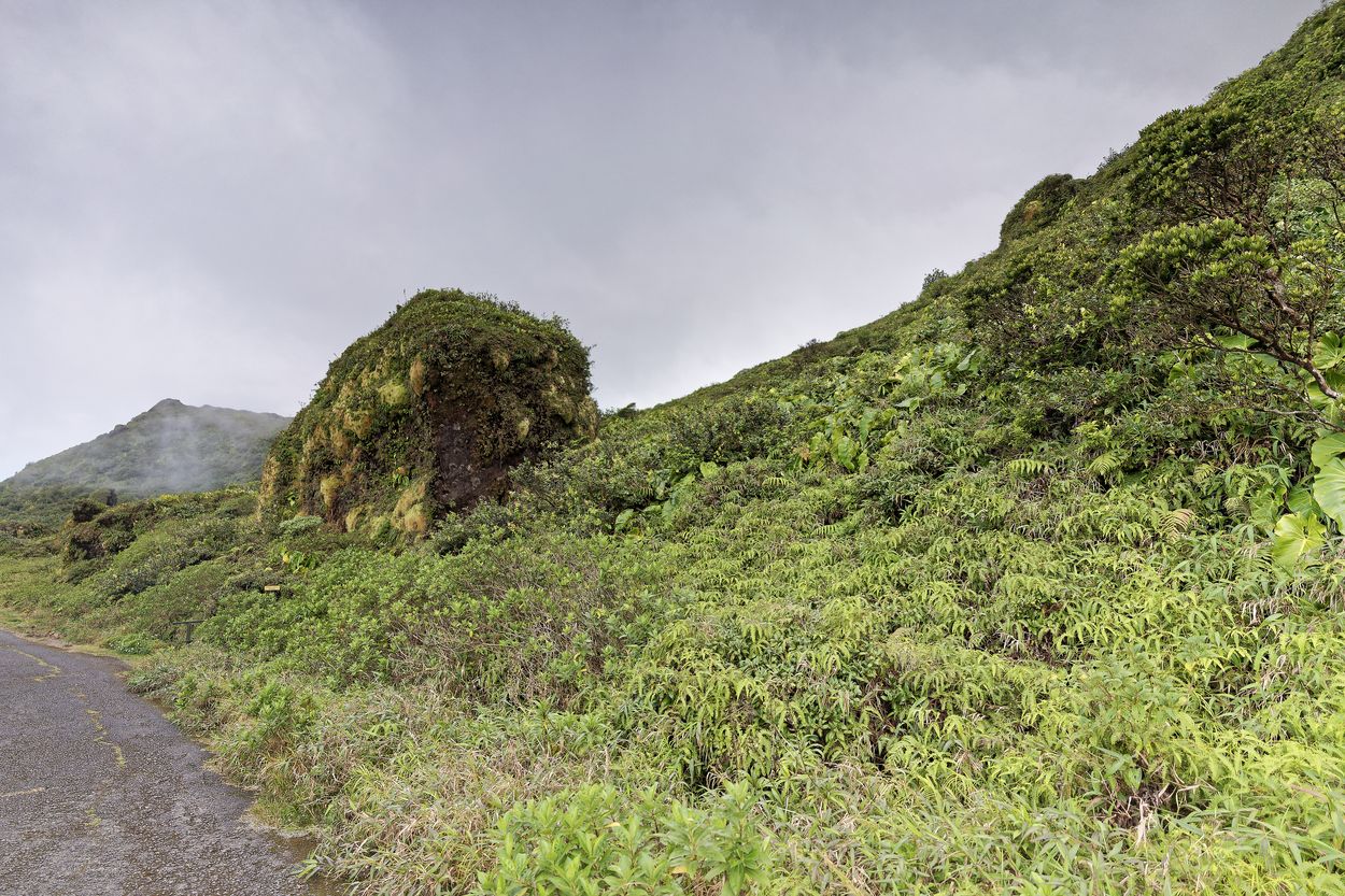 Vulkanbombe Soufrière Vulkanbombe Savane des Mulets