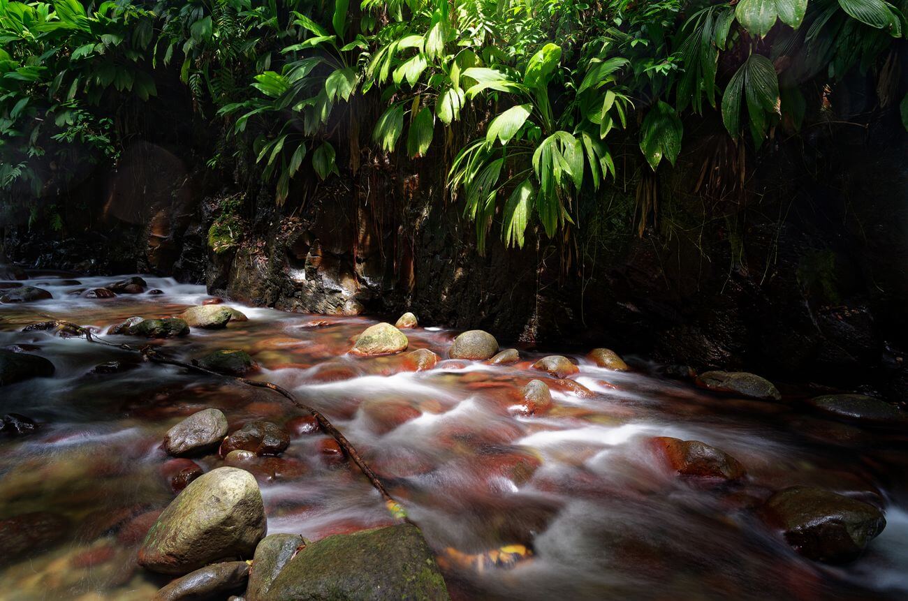 Landschaft im Canyon Moustique Vegetation im Canyon Moustique