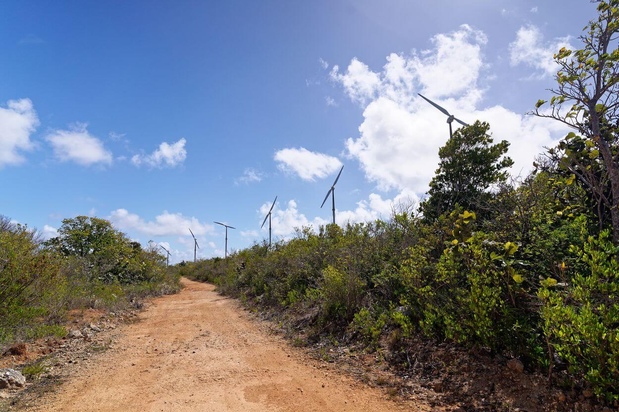 Lataniers-Weg Insel Désirade Windgenerator Désirade Lataniers