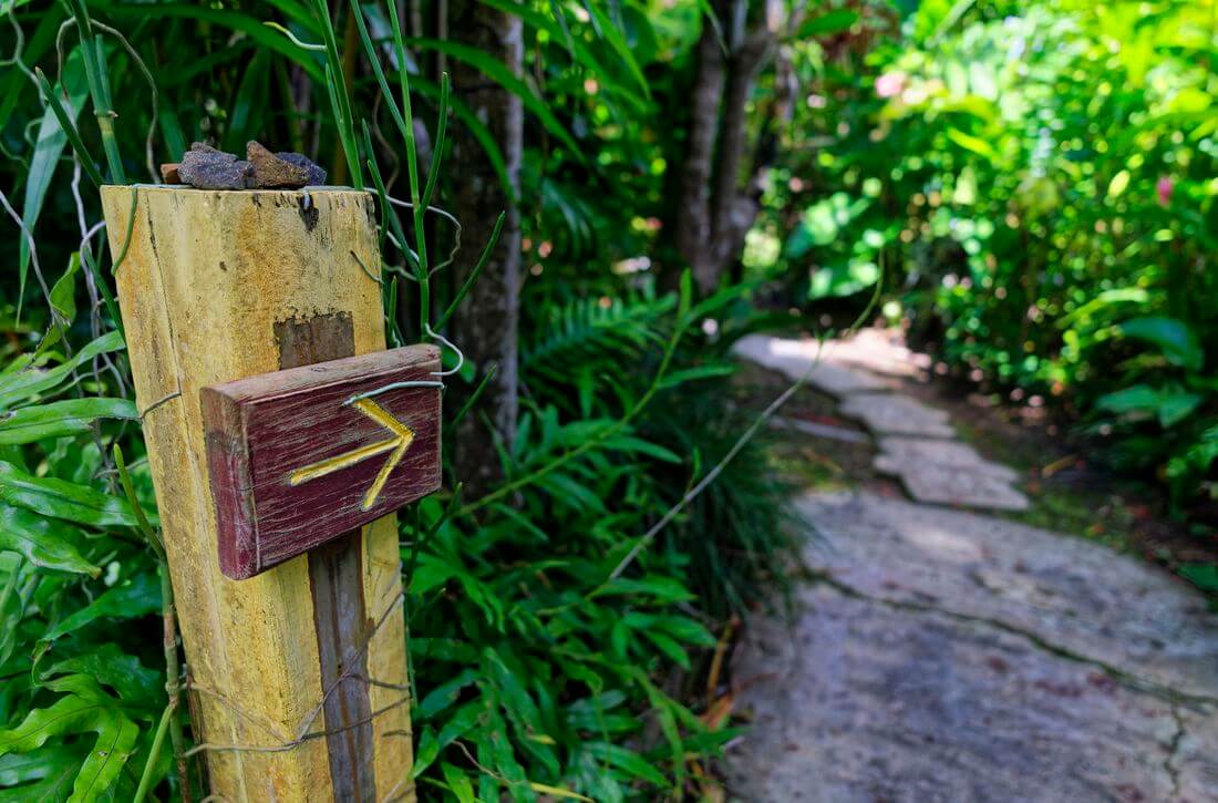 Weg im Orchideenpark Weg im Orchideenpark Guadeloupe