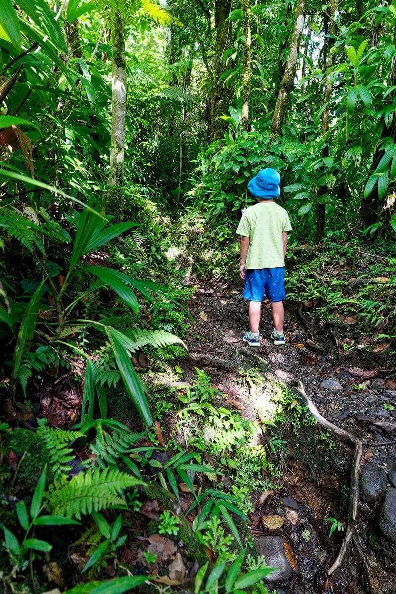 Wie man zu den Galion-Wasserfällen in Guadeloupe kommt Auf dem Weg zu den Galion-Wasserfällen, Guadeloupe