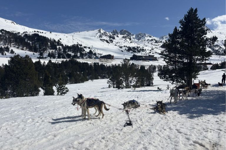 Schlittenhund in Andorra