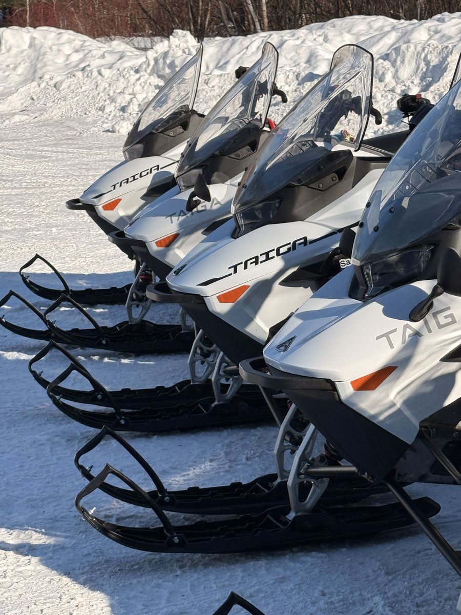 Details zum Schneemobil Schneemobile in einer Reihe aufgestellt
