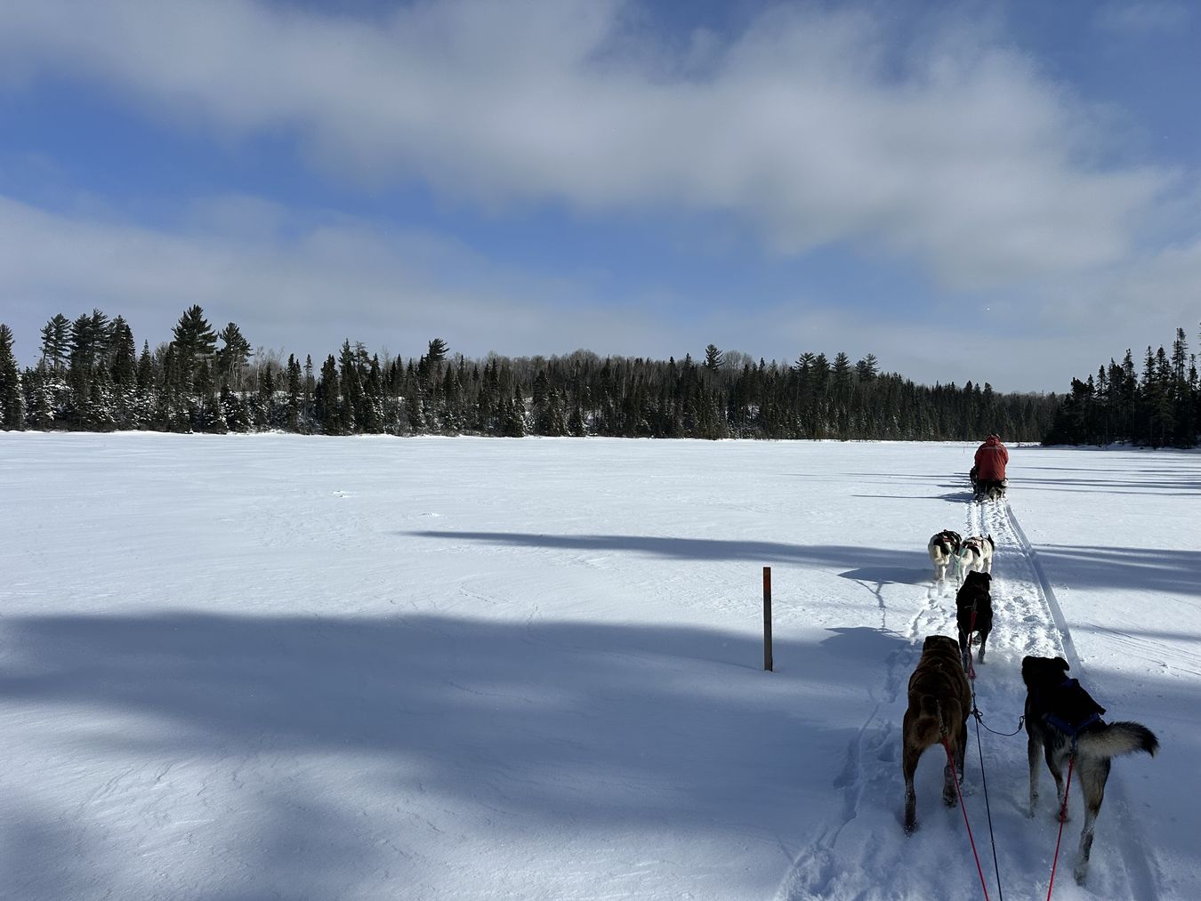 auf dem zugefrorenen See zugefrorener See